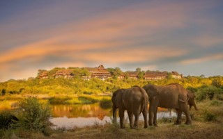 Victoria Falls Safari Lodge [320x200]